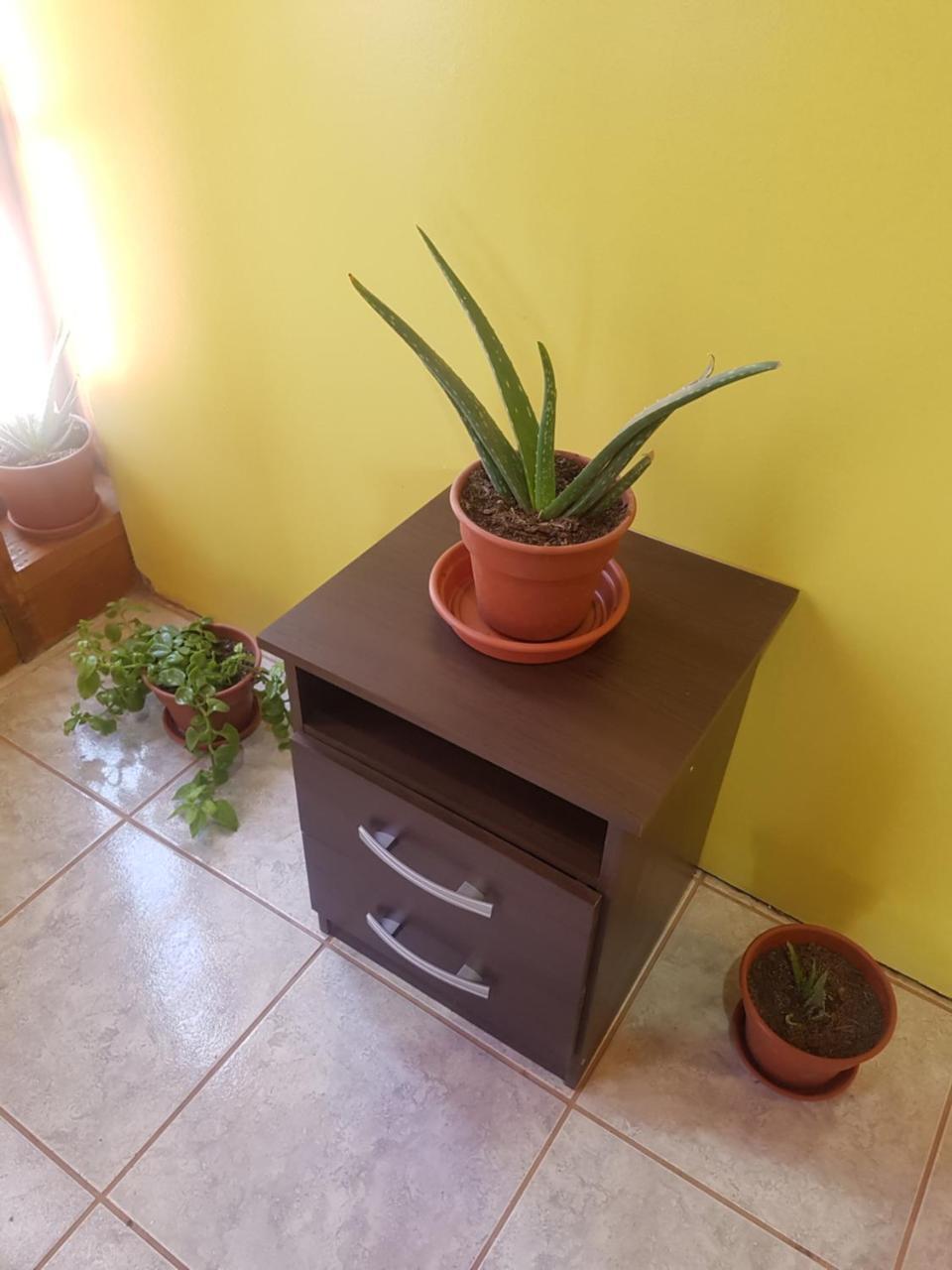 Departamento Luna Andina San Pedro de Atacama Kültér fotó
